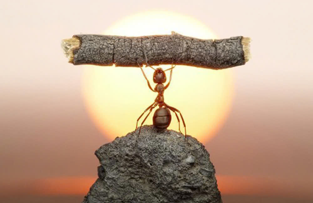 giá trị cốt lõi